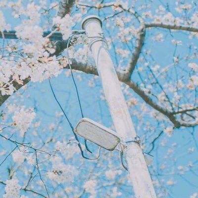 西游伏妖篇九游版下载